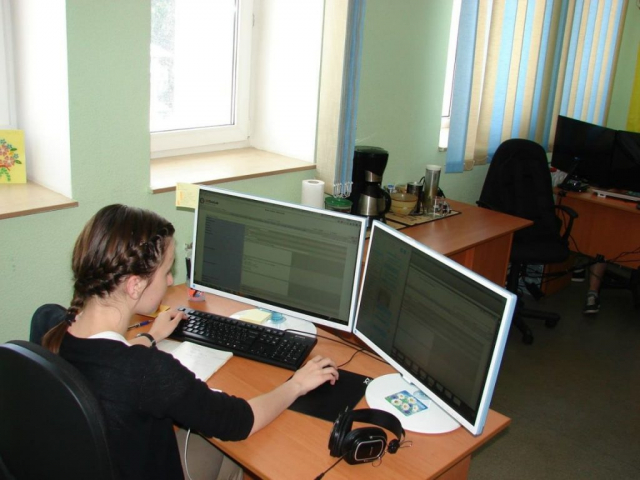 Reporting issues in bug tracking system