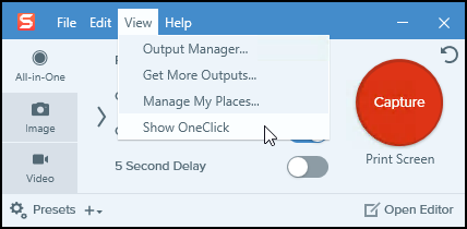 Снимок окна программы Snagit