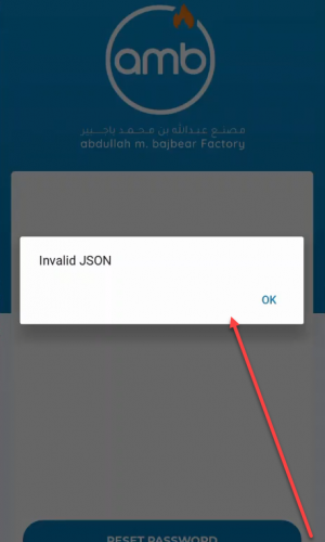 invalid json