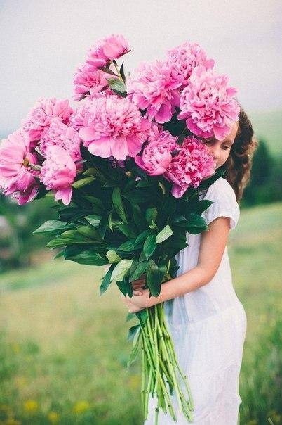 Александра Соколова