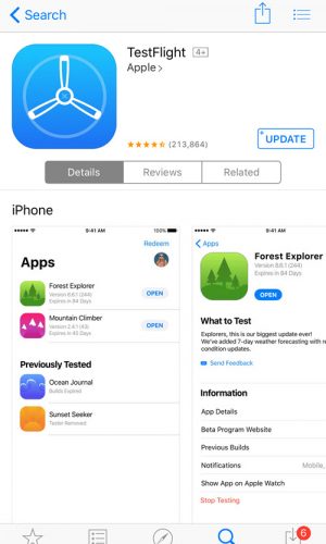TestFlight install