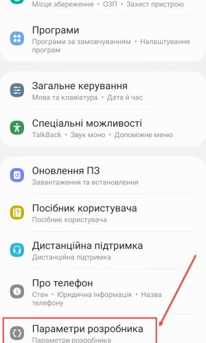 Розділ "Параметри розробника"